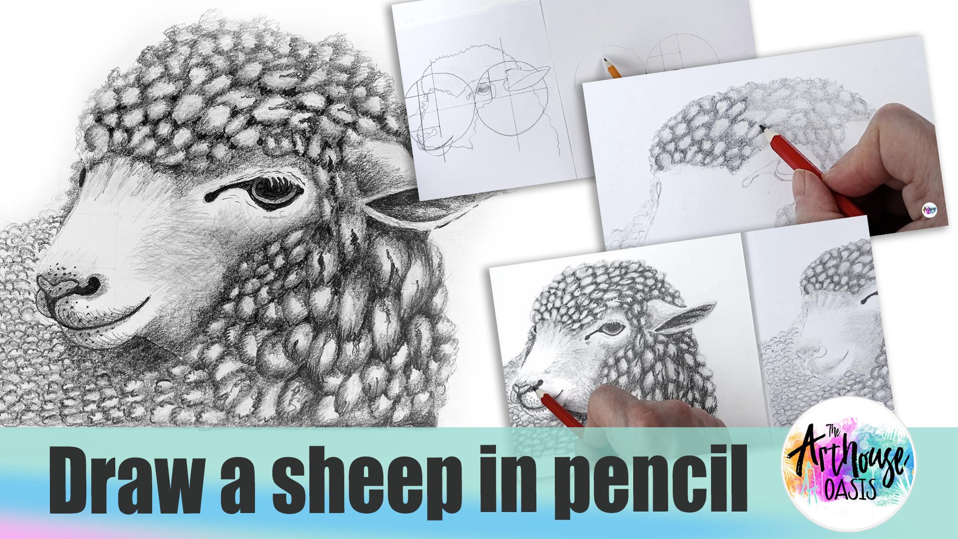 Draw A Woolly Sheep