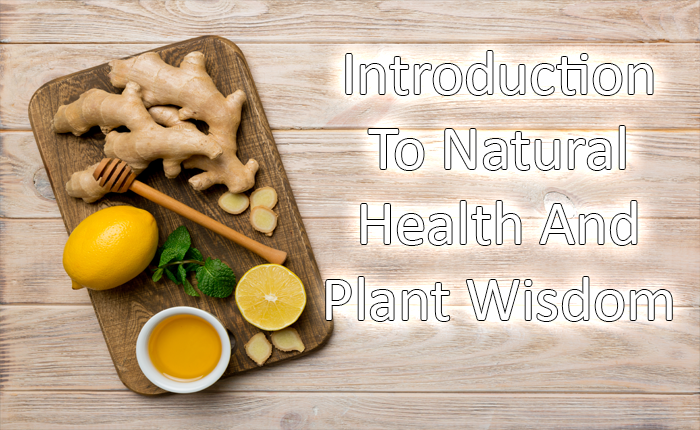 Introduction To Natural Health And Plant Wisdom